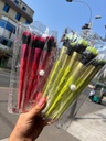 Brocha neceser colores x7 - Sam